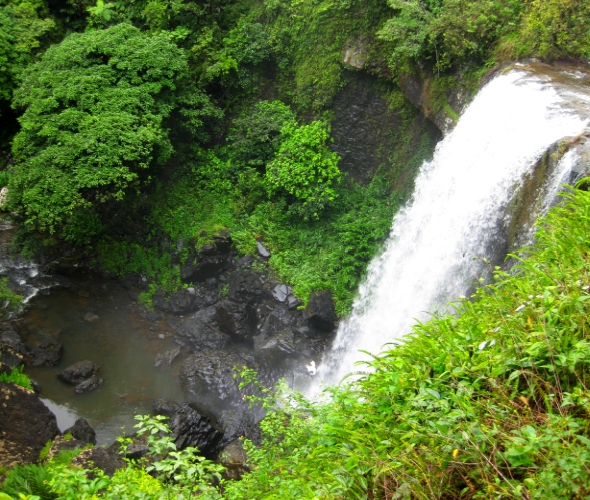 Dinner Falls, Millaa Millaa Falls, Zillie Falls, Ellinjaa Falls, Mungalli Falls, Millstream Falls und Malanda Falls