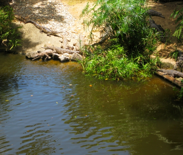 Kurunda